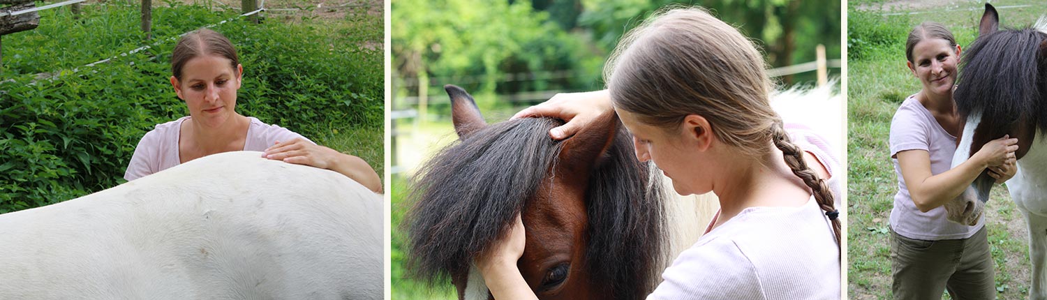 Tieraerztin Pferde Wien